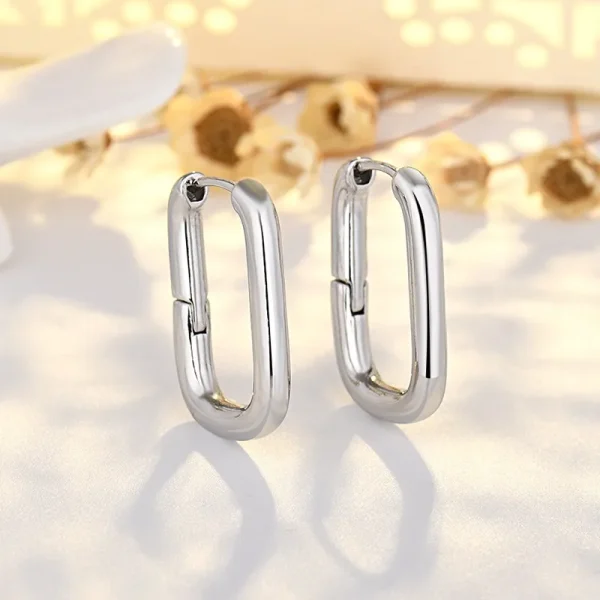 Eenvoudige, Modieuze en Populaire Oorbellen Geëlectroplateerd met Goud en Zilver, Het Beste Geschenk voor Familie en Vrienden - Image 8