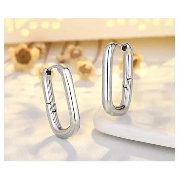 Eenvoudige, Modieuze en Populaire Oorbellen Geëlectroplateerd met Goud en Zilver, Het Beste Geschenk voor Familie en Vrienden - Image 2