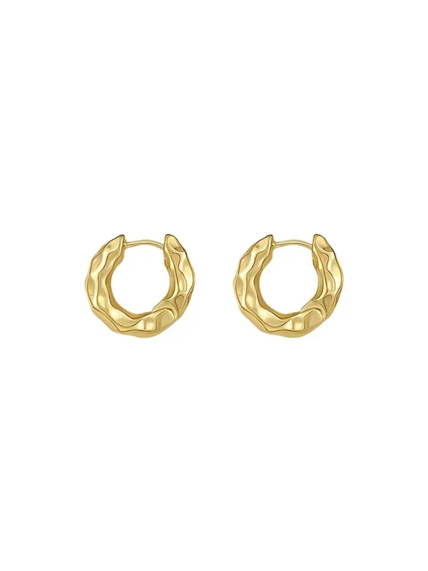 Nieuw en Populair – Trendy 925 Sterling Zilveren Ronde Oorbellen – Echte Zilveren Hoepeloorbellen - Image 5